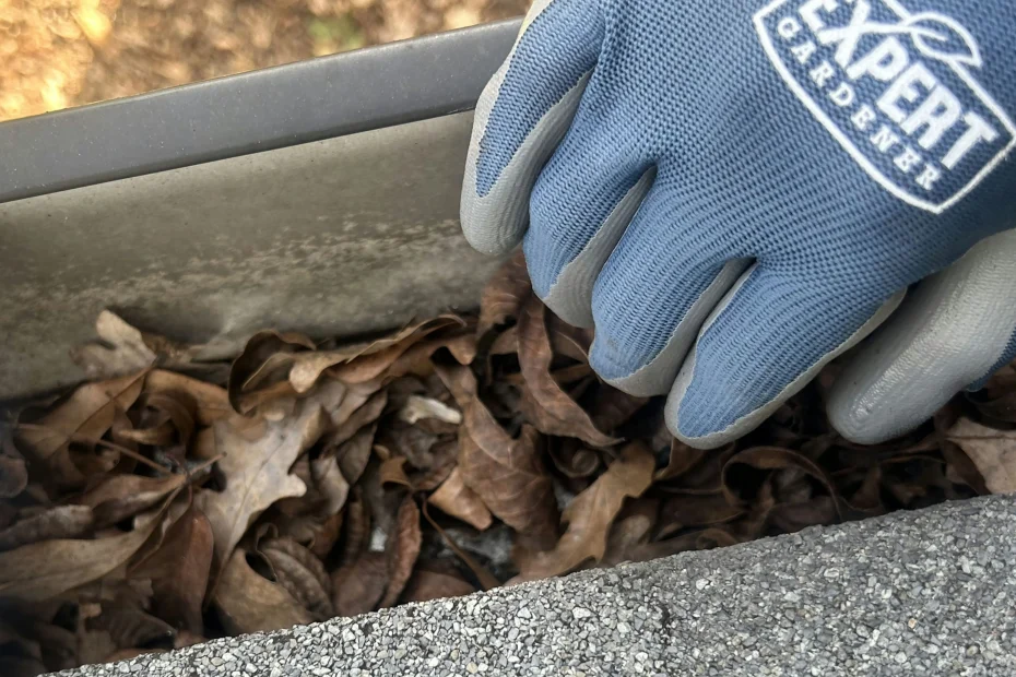 Gutter Cleaning Knotts Island