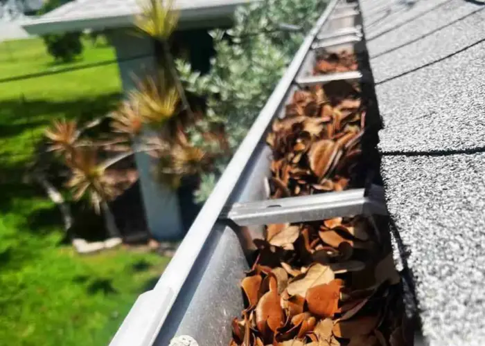 Gutter Cleaning Knotts Island home page